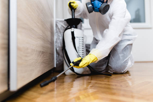 Best Pest Removal Services  in Yorba Linda, CA