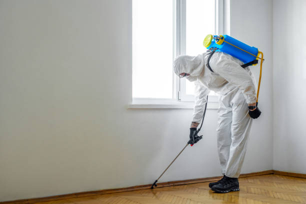 Best Bed Bug Extermination  in Yorba Linda, CA