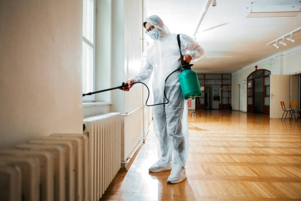 Trusted Yorba Linda, CA Pest Control Experts