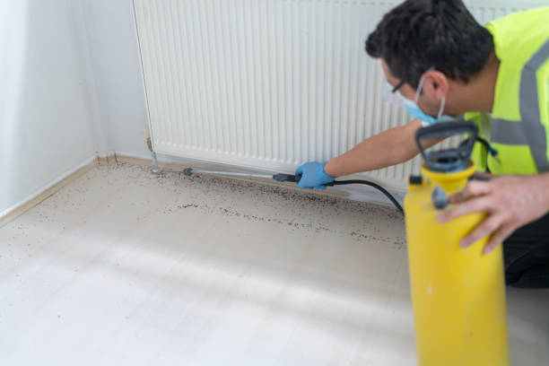 Best Best Pest Control Companies  in Yorba Linda, CA